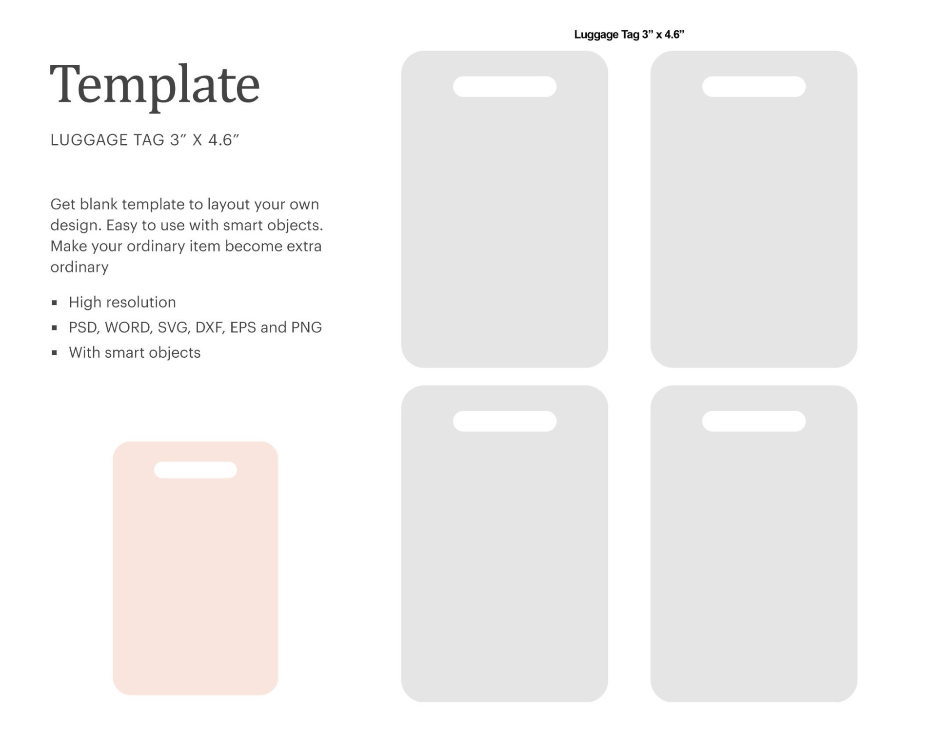 Luggage Tag Blank Template  X