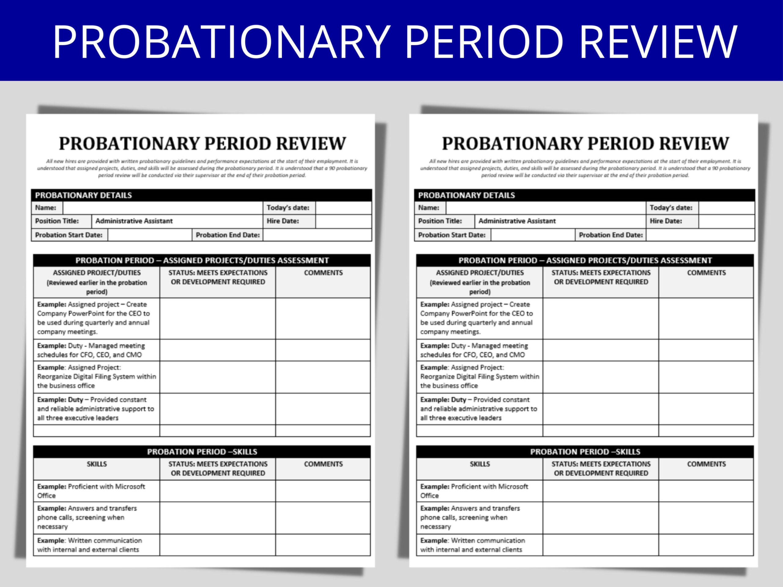 Employee Performance Review -day Probationary Assessment